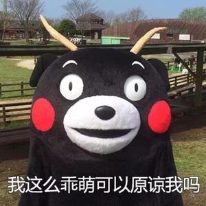 商用企业小狼导航
